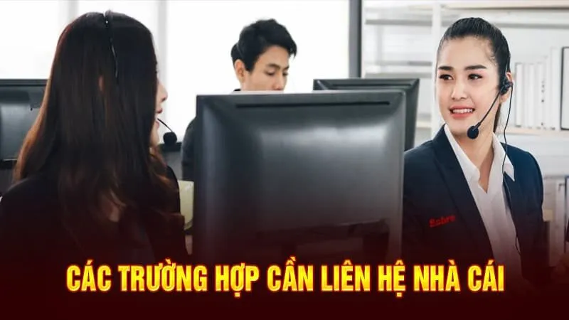 Bỏ Túi 4 Phương Thức Liên Hệ K8 Dành Cho Người Mới